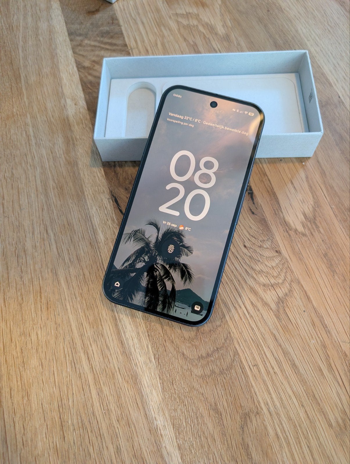 Google Pixel 9