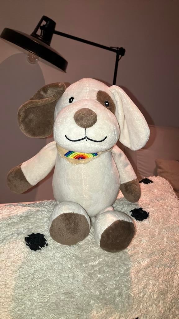 Fbto hond snoef, Kinderen en Baby's, Wasbaar, Zo goed als nieuw, Middelgroot (20 tot 80 cm), Beige
