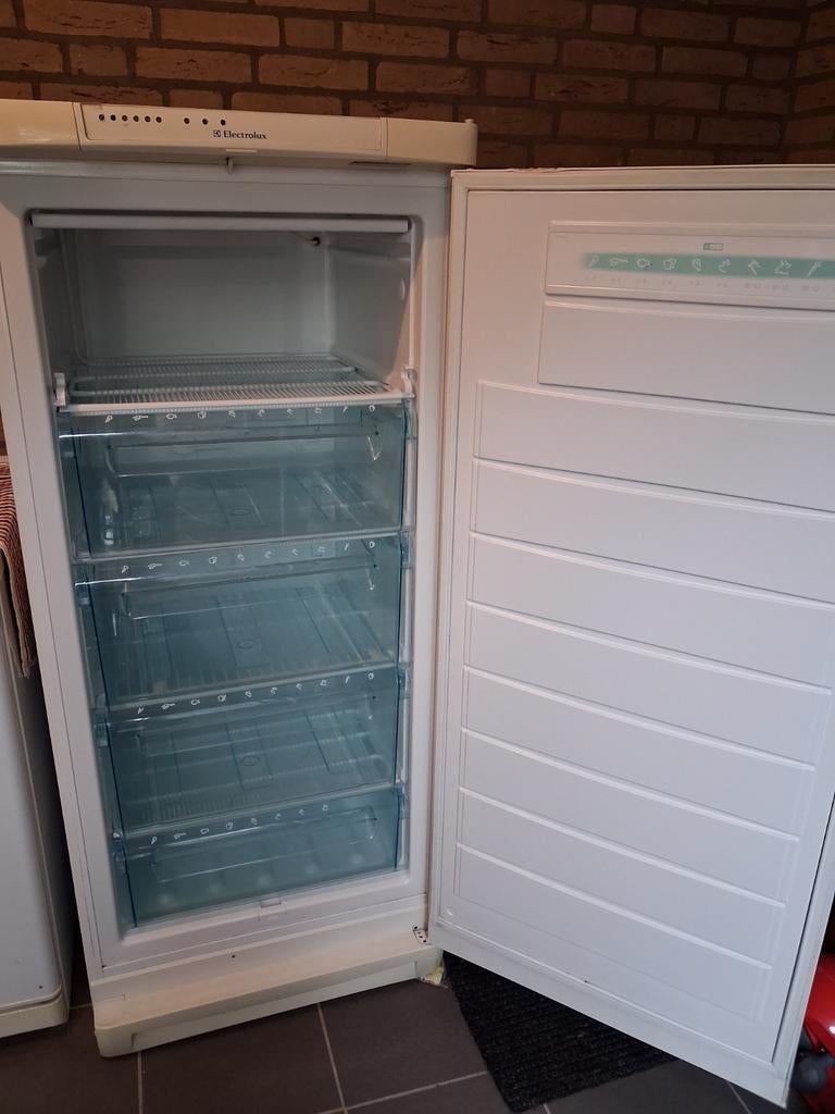 Grote Electrolux vriezer met handige vakken in Nispen, Gebruikt, Minder dan 60 cm, 160 cm of meer, Vrijstaand
