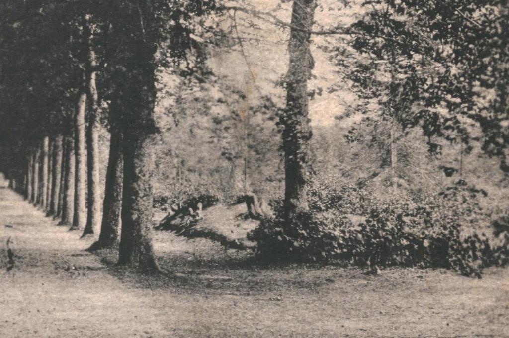 700106 Bergen 1922 De Hoflaan Gelopen met postzegel, Ophalen of Verzenden, 1920 tot 1940, Gelopen, Noord-Holland