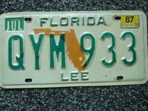 Kentekenplaat licenseplate Florida Lee 1987 USA, Verzenden, Gebruikt, Auto's