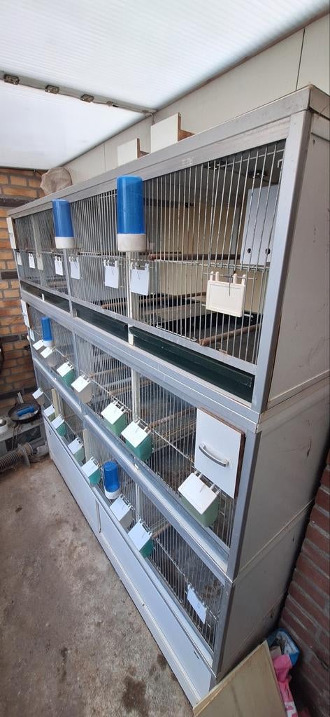 Van Keulen broedkooi kweekkooi vogelkooi, Dieren en Toebehoren, Ophalen, Gebruikt, Kunststof, Broedkooi of Kweekkooi