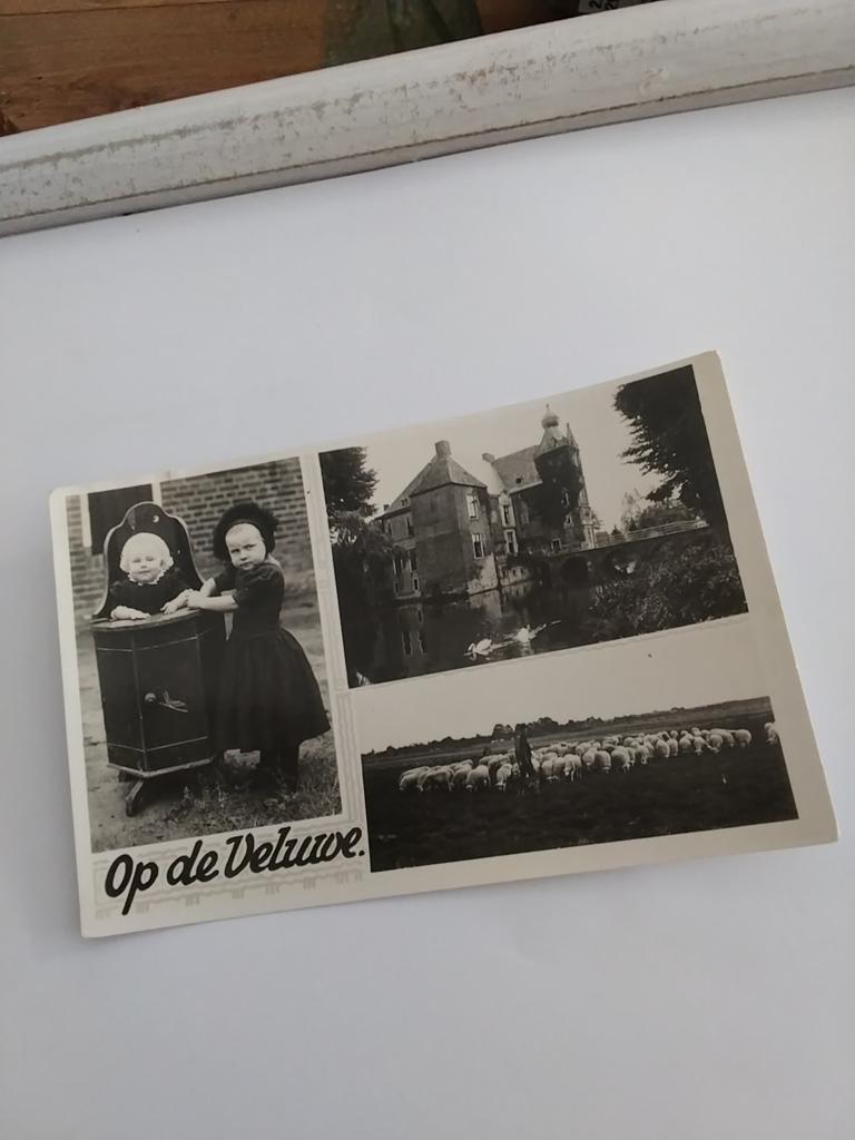 OP DE VELUWE. 3 afbeeldingen, Verzamelen, Ansichtkaarten | Nederland, Ophalen of Verzenden, Voor 1920, Gelderland