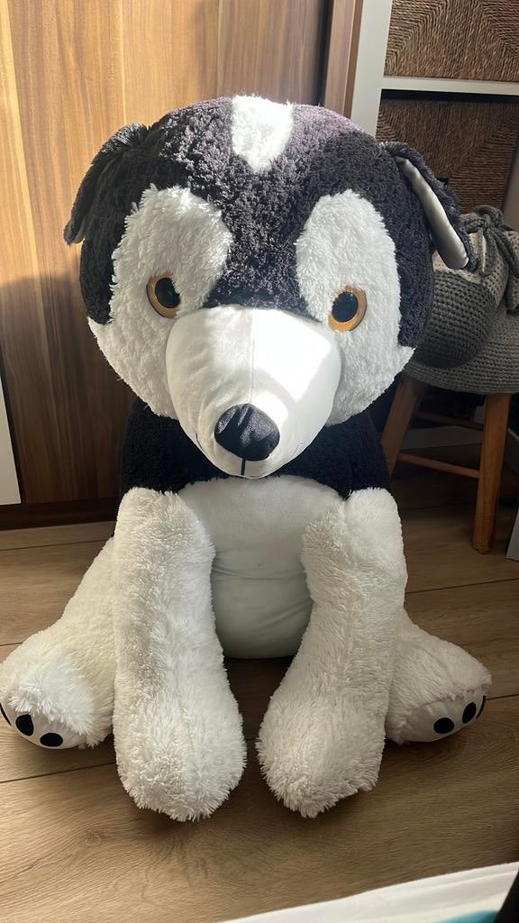 Grote husky knuffel, Ophalen of Verzenden, Zo goed als nieuw, Overige typen