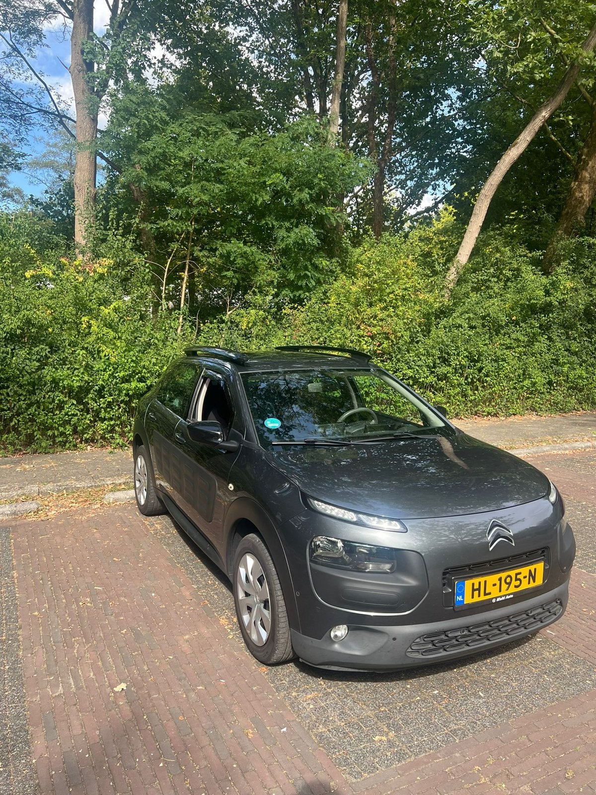 Citroën C4 Cactus 1.2 PureTech 2015 Grijs, Auto's, Citroën, 40 €/maand, 1199 cc, 995 kg, Handgeschakeld