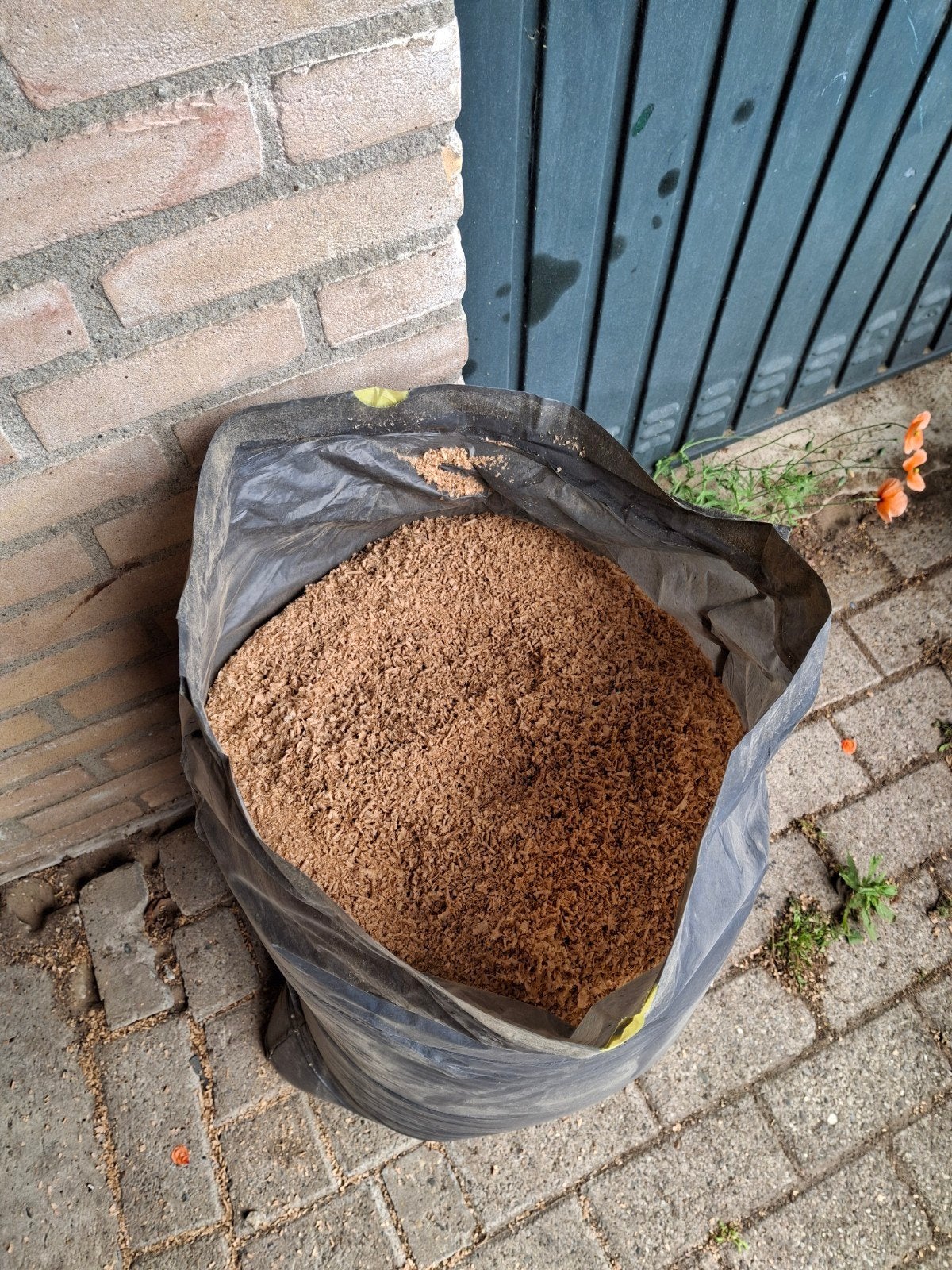 Gratis zaagsel, Ophalen of Verzenden, Nieuw