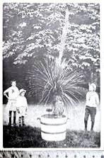 Artis 1915; mexicaanse plant in bloei in artis, Verzenden, Voor 1940, Gebruikt, Overige onderwerpen