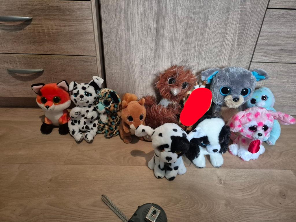 10 ty beanie knuffels, Ophalen of Verzenden, Zo goed als nieuw, Overige typen