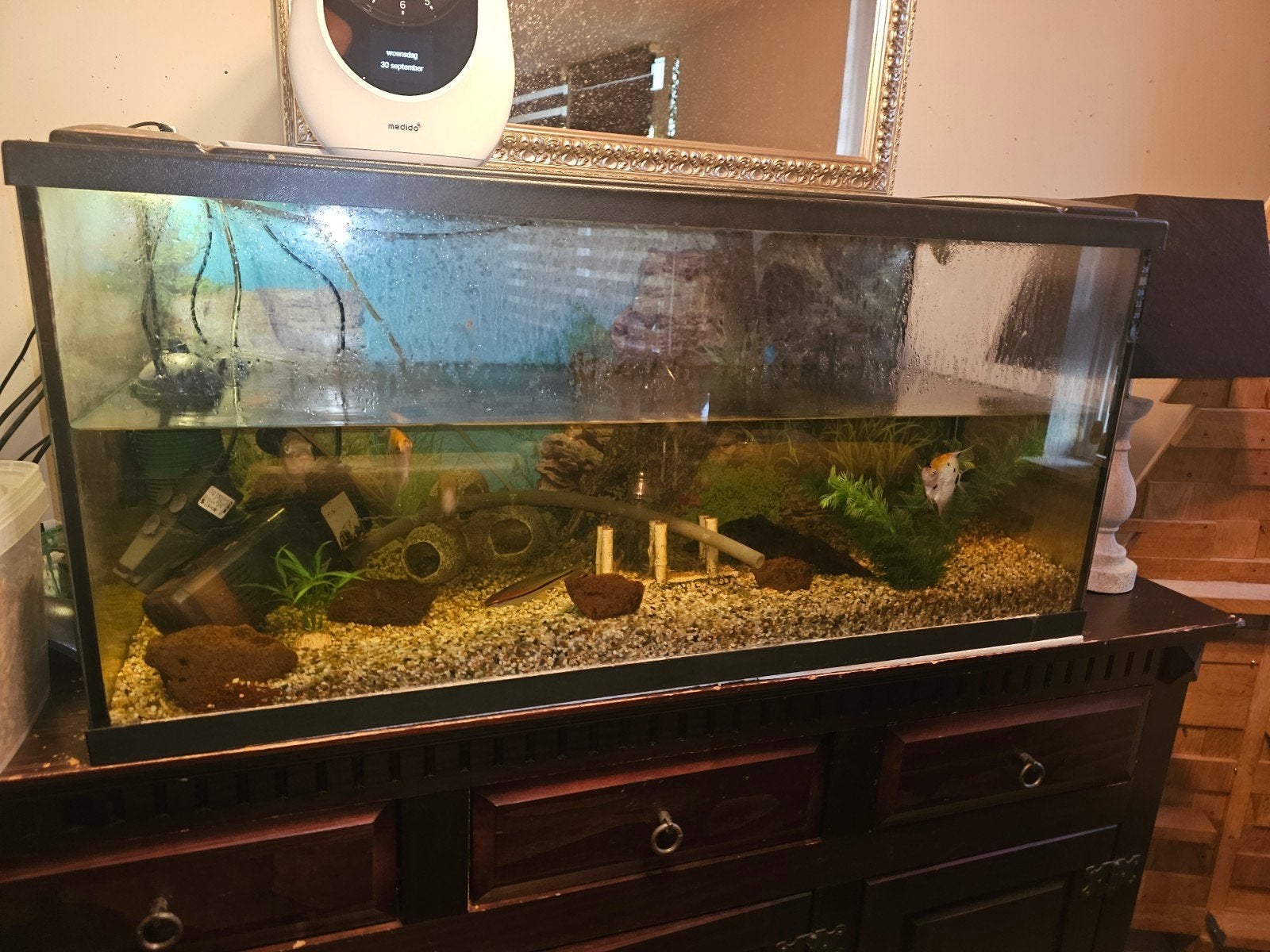 aquarium compleet, Dieren en Toebehoren, Ophalen of Verzenden