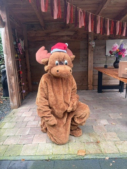 Mascotte pakken te huur , 15 20 25 30 euro per stuk per dag, Ophalen of Verzenden, Zo goed als nieuw, Overige