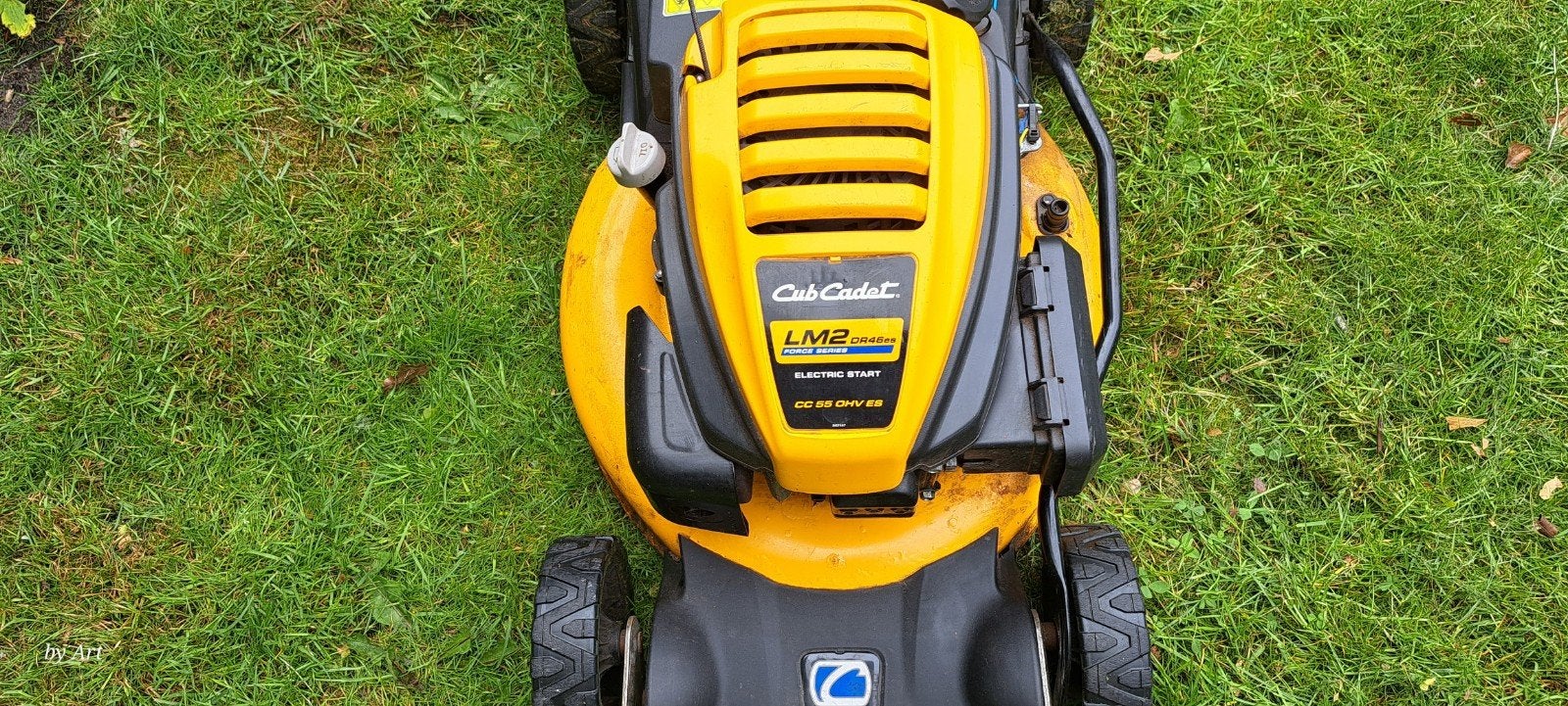Cub Cadet LM2 DR46ES Grasmaaier (Zelftrekkend), Ophalen, Cirkelmaaier, Gebruikt, Elektrische starter