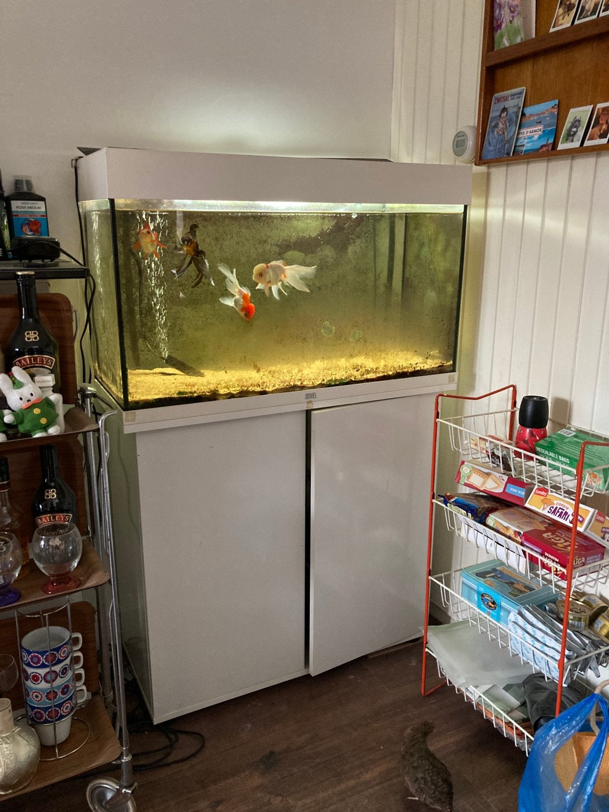Juwel aquarium, Ophalen, Gebruikt, Leeg aquarium, Juwel