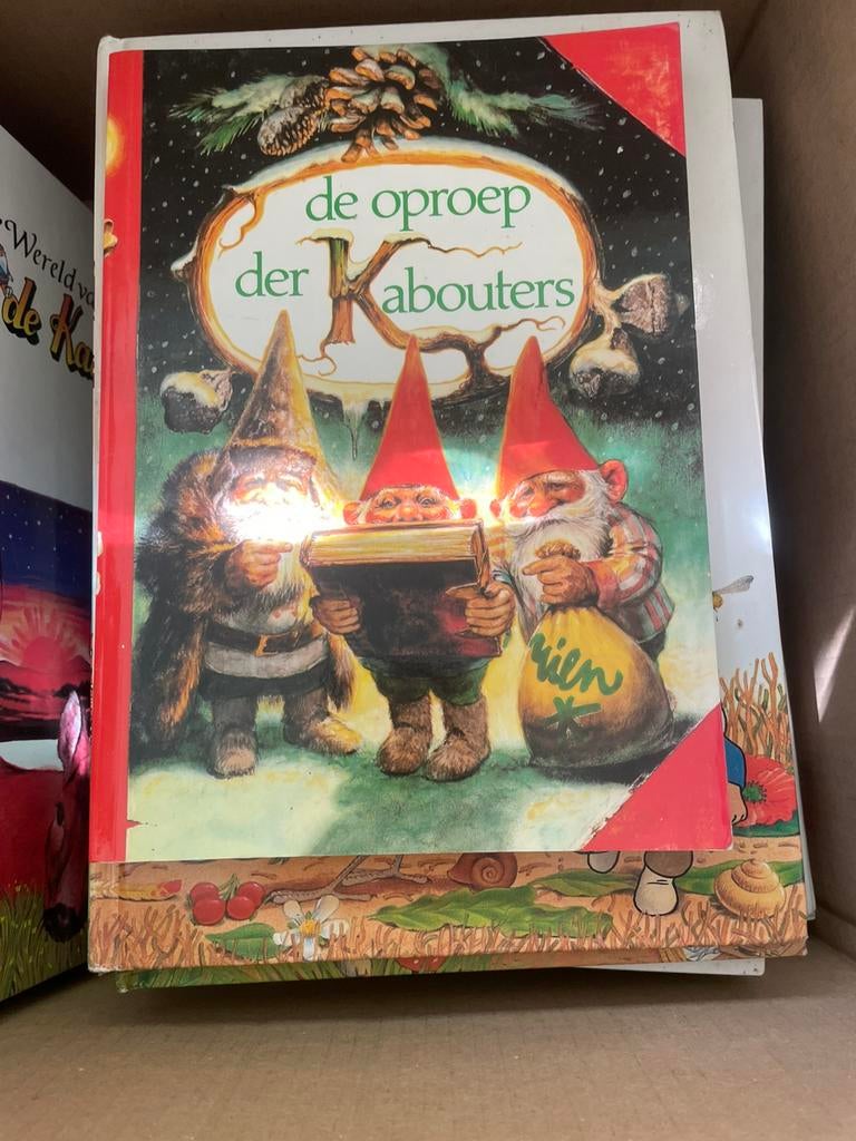 Boeken, Ophalen of Verzenden, Zo goed als nieuw