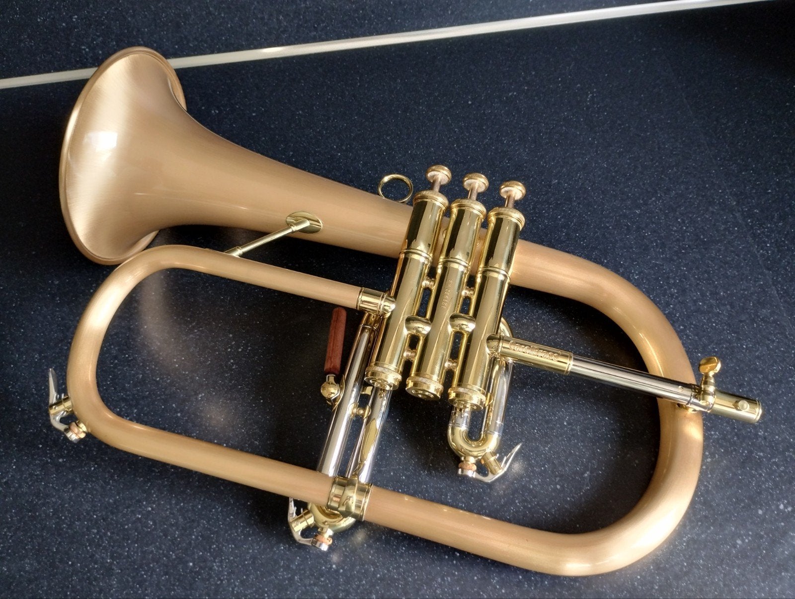 Carol Brass Bugel, Ophalen, Gebruikt, Overige typen, Met koffer
