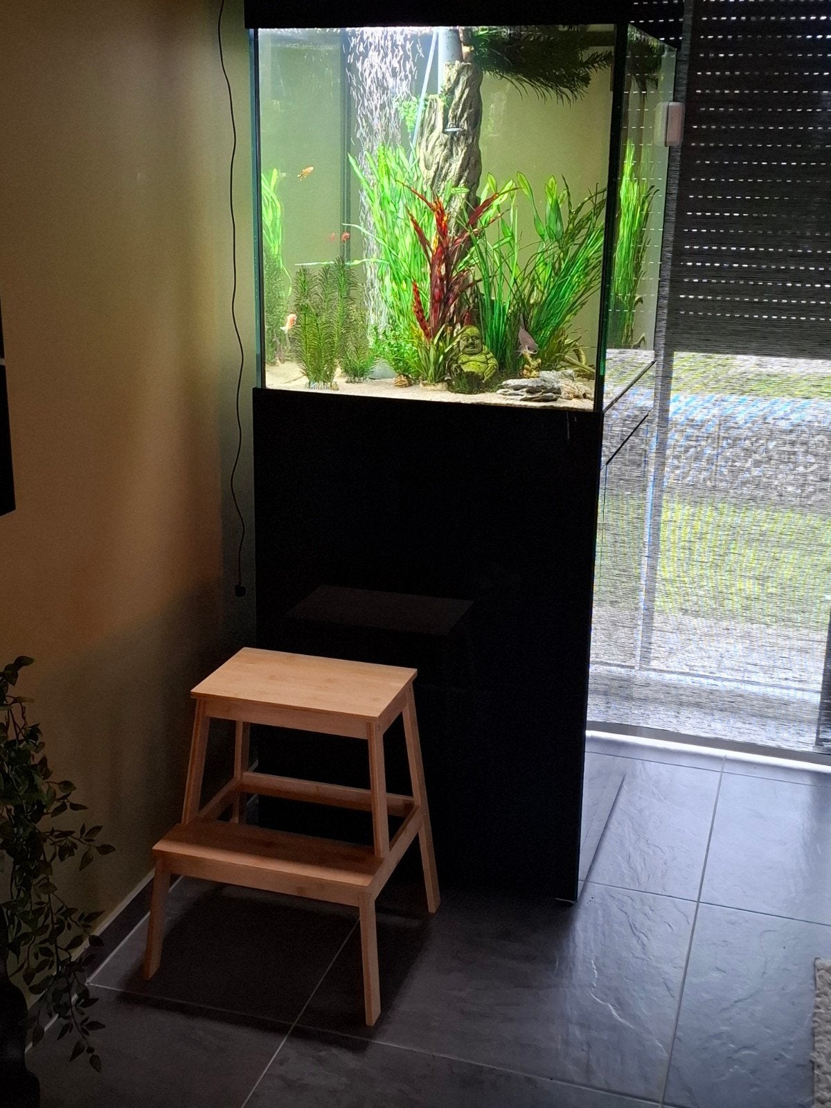 Design aquarium, Ophalen of Verzenden, Gebruikt, Leeg aquarium