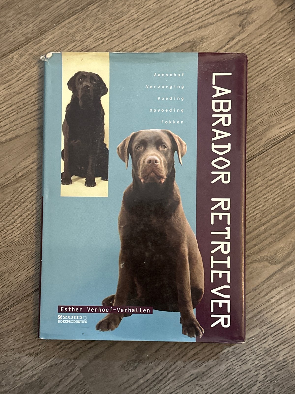 Labrador Retriever boek - Aanschaf, verzorging, voeding, Ophalen of Verzenden, Gelezen, Honden
