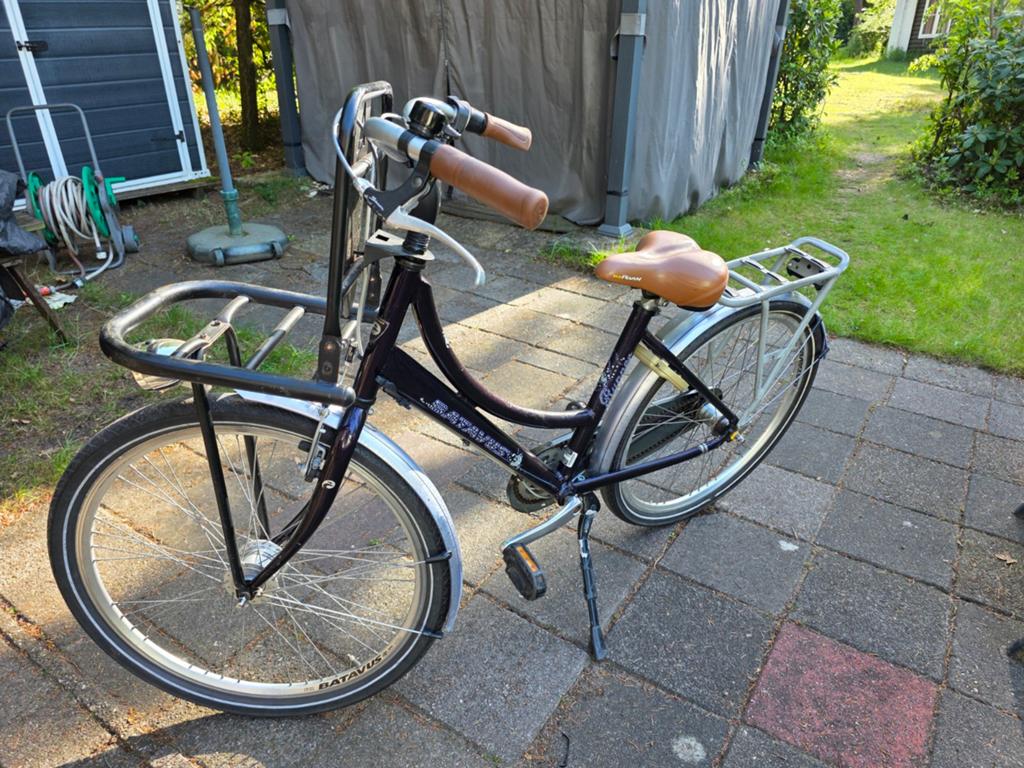 Batavus tiener fiets met voordrager - gebruikt, Ophalen, Gebruikt, Batavus, Terugtraprem