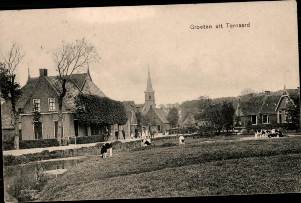 ternaard, kvr9-4976 groetjes, Verzenden, Voor 1920, Gelopen, Friesland
