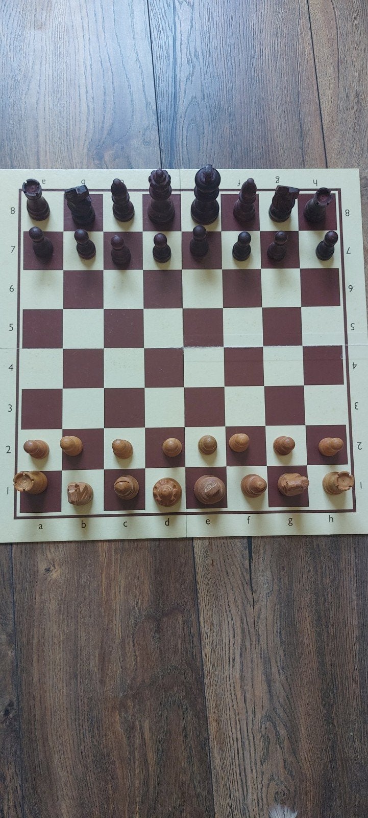Avro Schaken voor Beginners - Complete Set, Hobby en Vrije tijd, Denksport en Puzzels, Ophalen of Verzenden, Gebruikt, Schaken