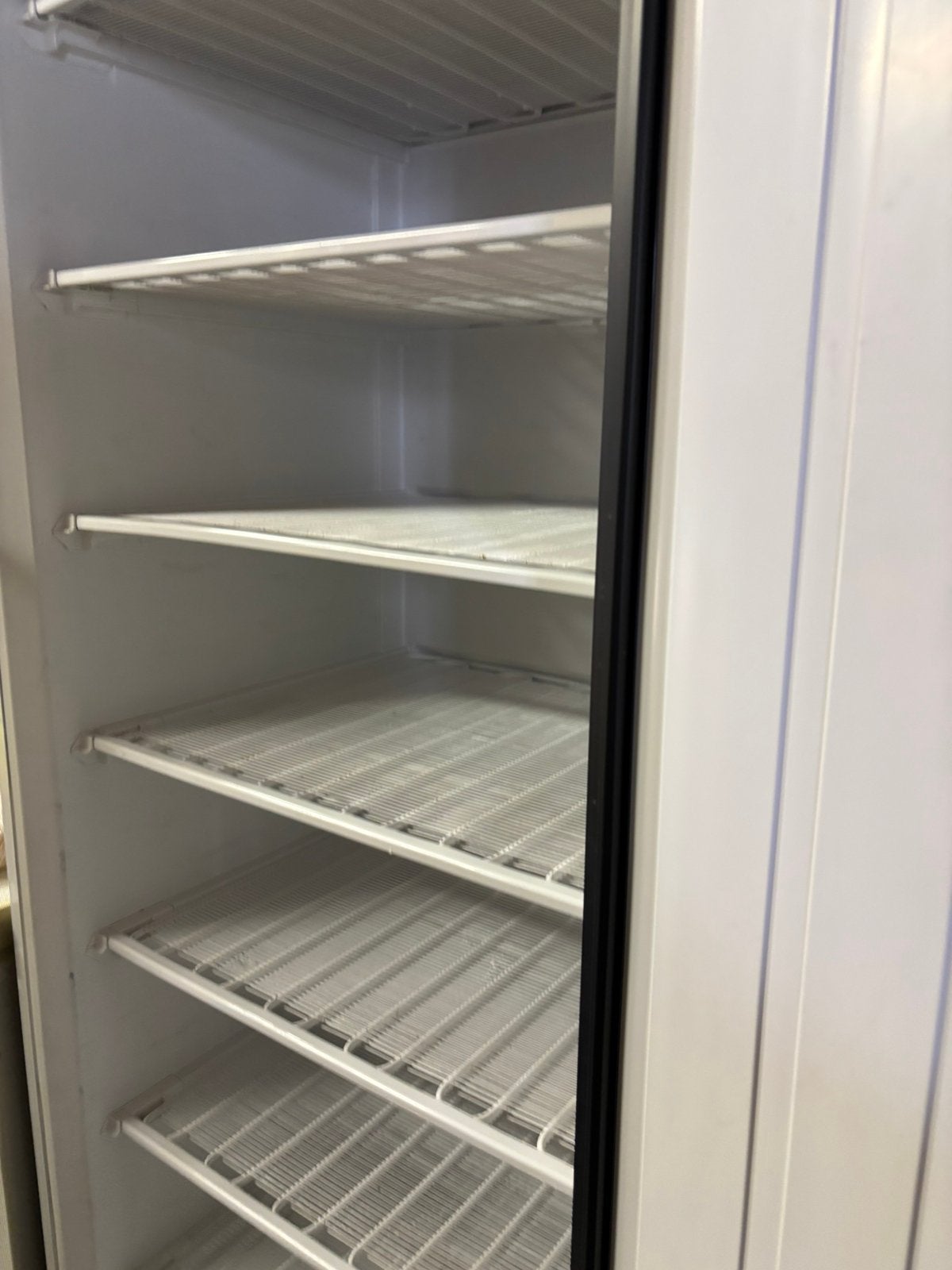 Horeca vriezer, Witgoed en Apparatuur, 90 cm of meer, Gebruikt, Vrijstaand, 160 cm of meer