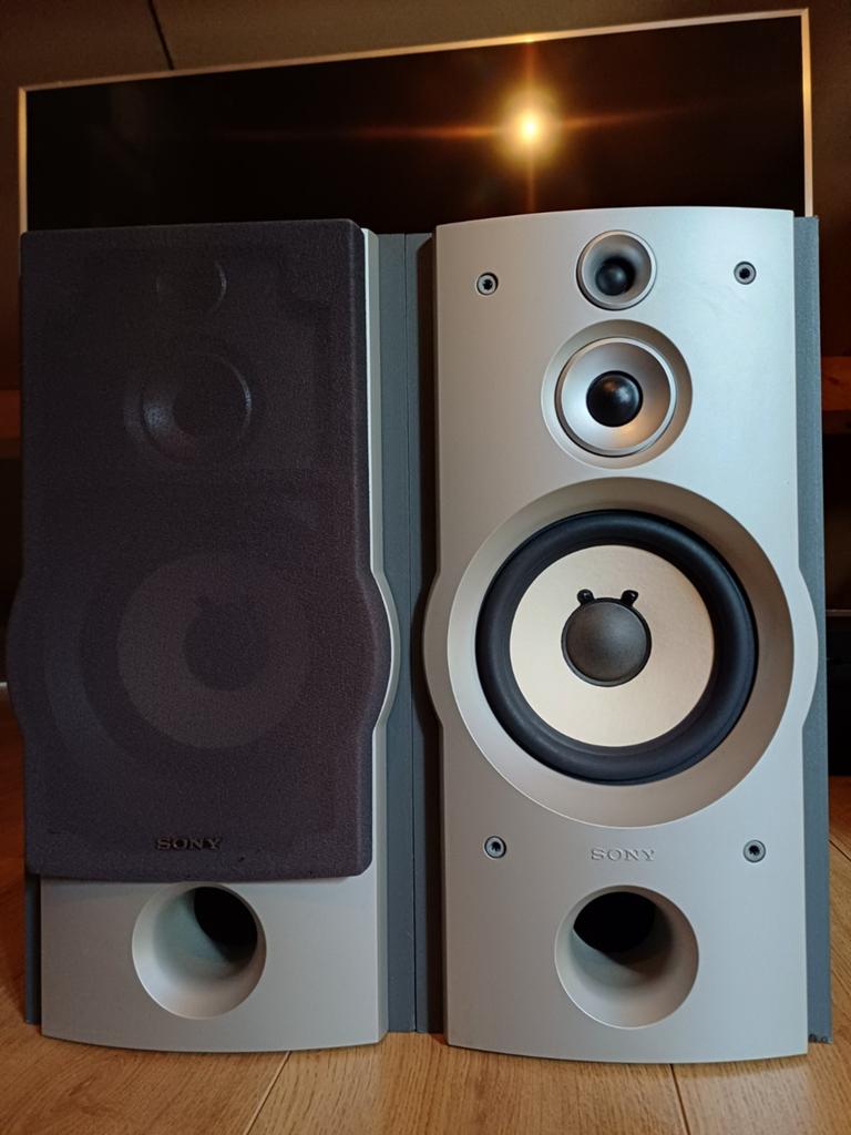 Sony SS EX77, Ophalen, Gebruikt, 60 tot 120 watt, Sony
