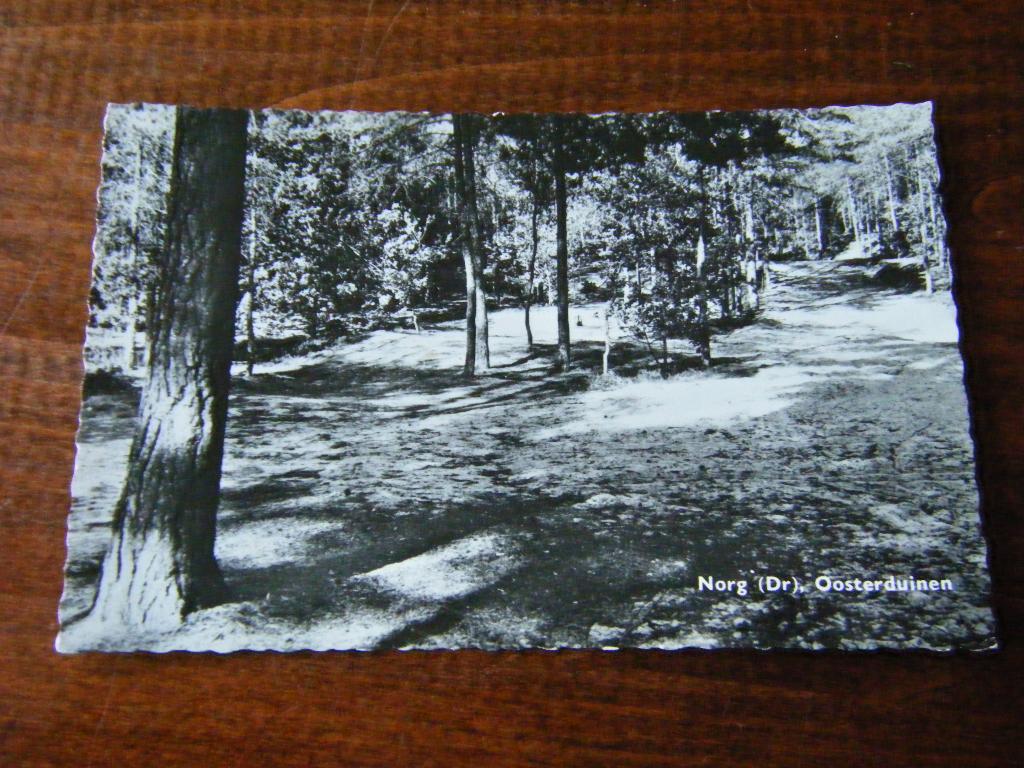 V35 - Drenthe - Norg - Oosterduinen - Mooi/Oud, Ophalen of Verzenden, 1960 tot 1980, Drenthe