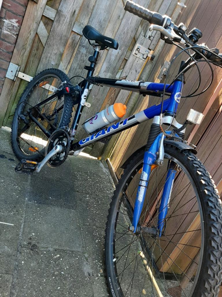 Nette Giant mountainbike met versnellingen, 19 INCH, Ophalen, Gebruikt, Hardtail, Giant