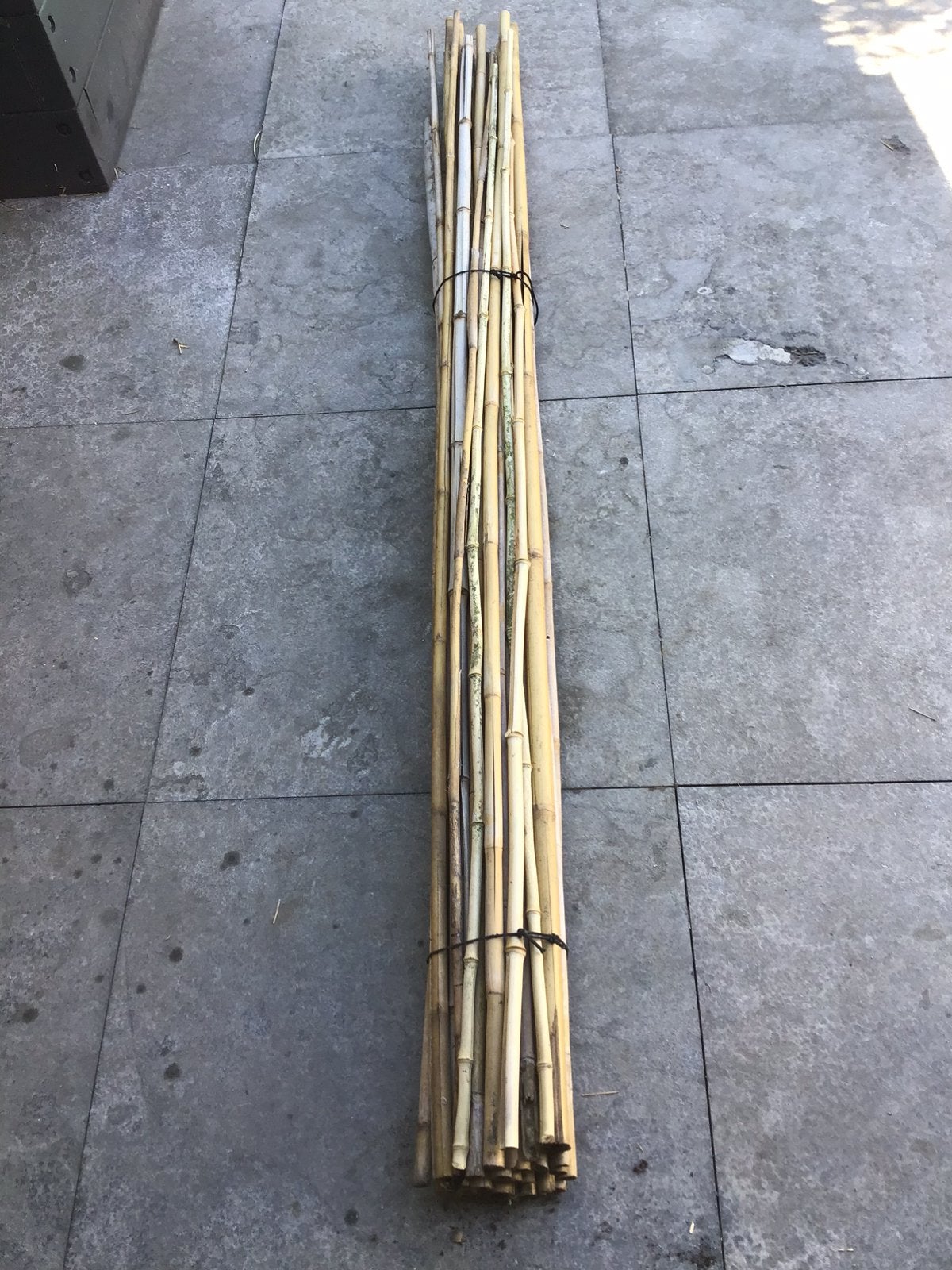 33st tonkinstok bamboe ca.1,8m moestuin setprijs €12,50, Tuin en Terras, Ophalen, Gebruikt
