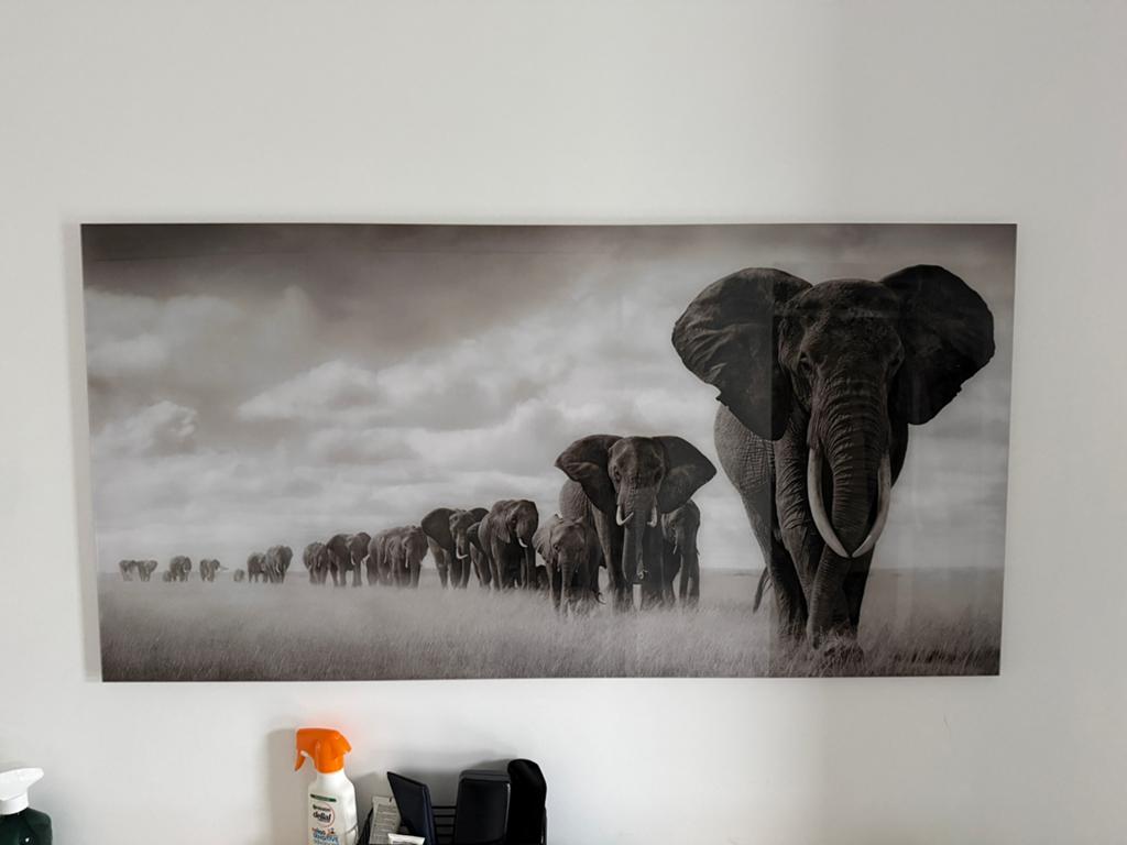 Pexiglas schilderij, Ophalen