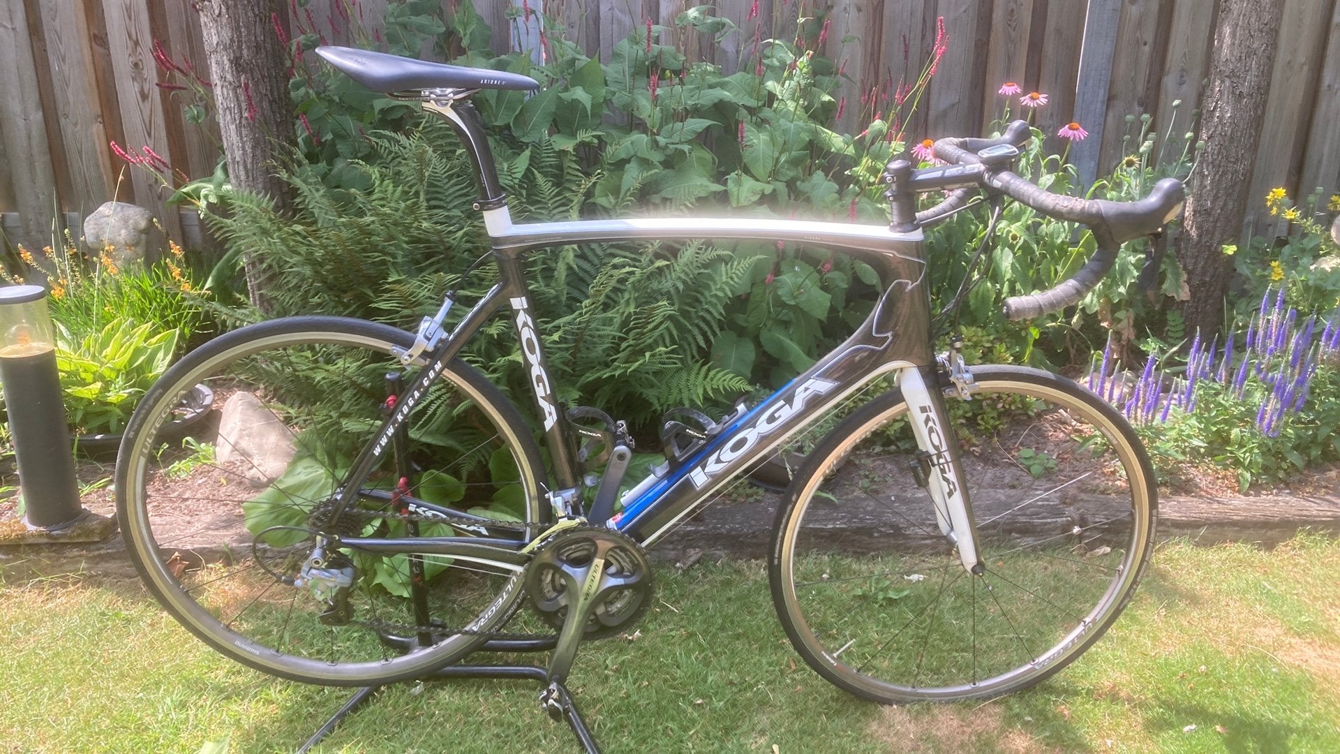 Koga volledig carbon maat 63, Ophalen, Carbon, Zo goed als nieuw, 57 tot 61 cm