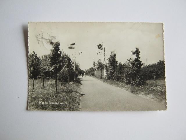Ansichtkaarten Nederland, TC 5-4 Sondel-Gaasterland 1950, Verzamelen, Verzenden, 1940 tot 1960, Gelopen, Noord-Brabant