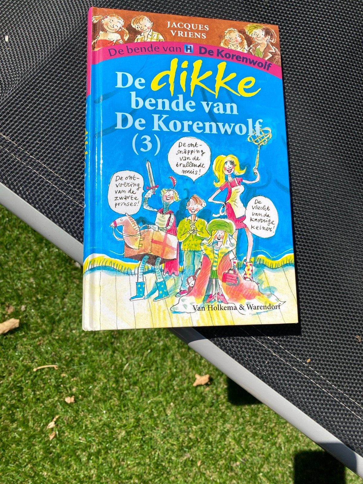 De dikke bende van De Korenwolf (3) - Jacques Vriens, Ophalen, Gelezen, Fictie algemeen