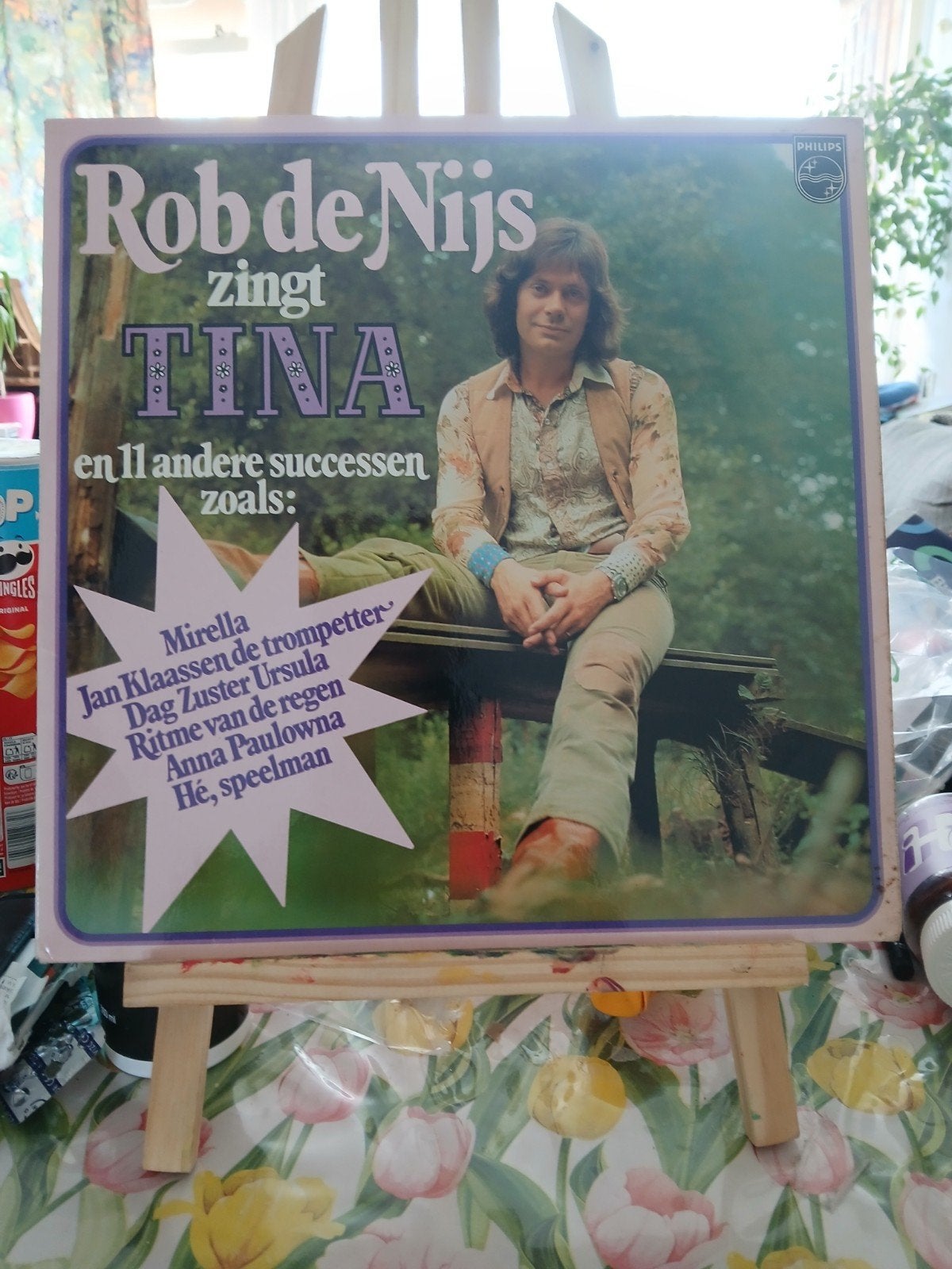 Rob de Nijs zingt Tina en 11 andere successen LP, LP, Gebruikt, Ophalen of Verzenden, Pop