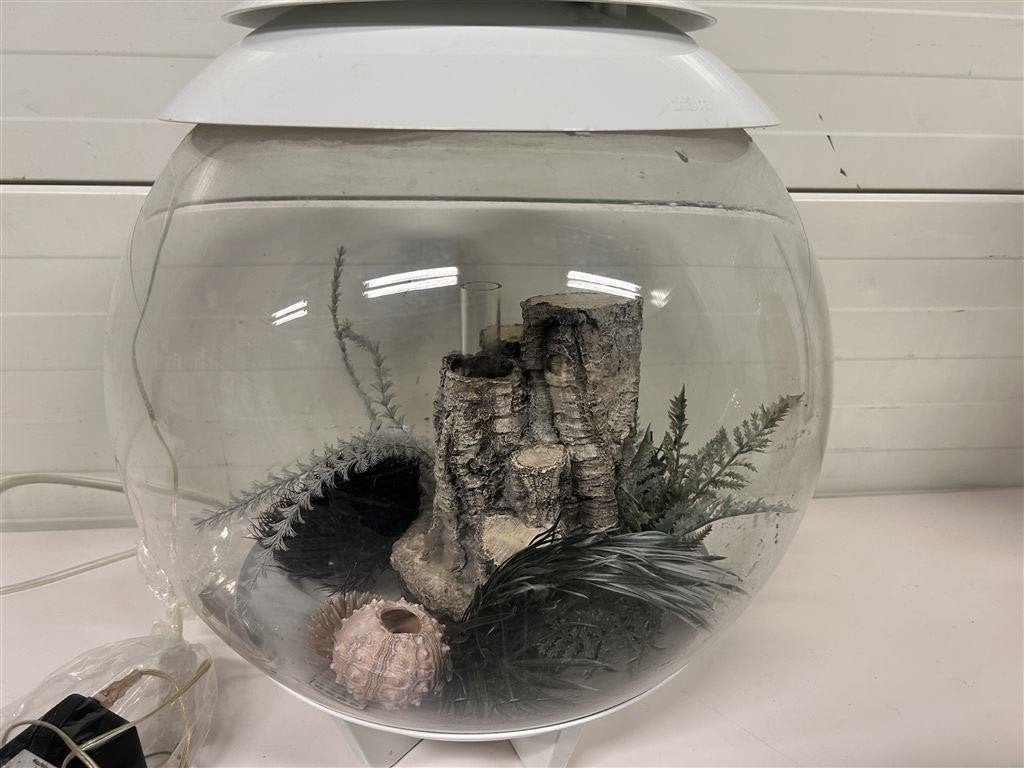 A7230. Biorb aquarium, 30L, incl. toebehoren, Vis