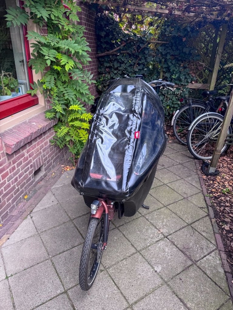 Dolly elektrische bakfiets met regenkap en kinderzitje, Gebruikt, 2 kinderen, Elektrisch, Schijfrem