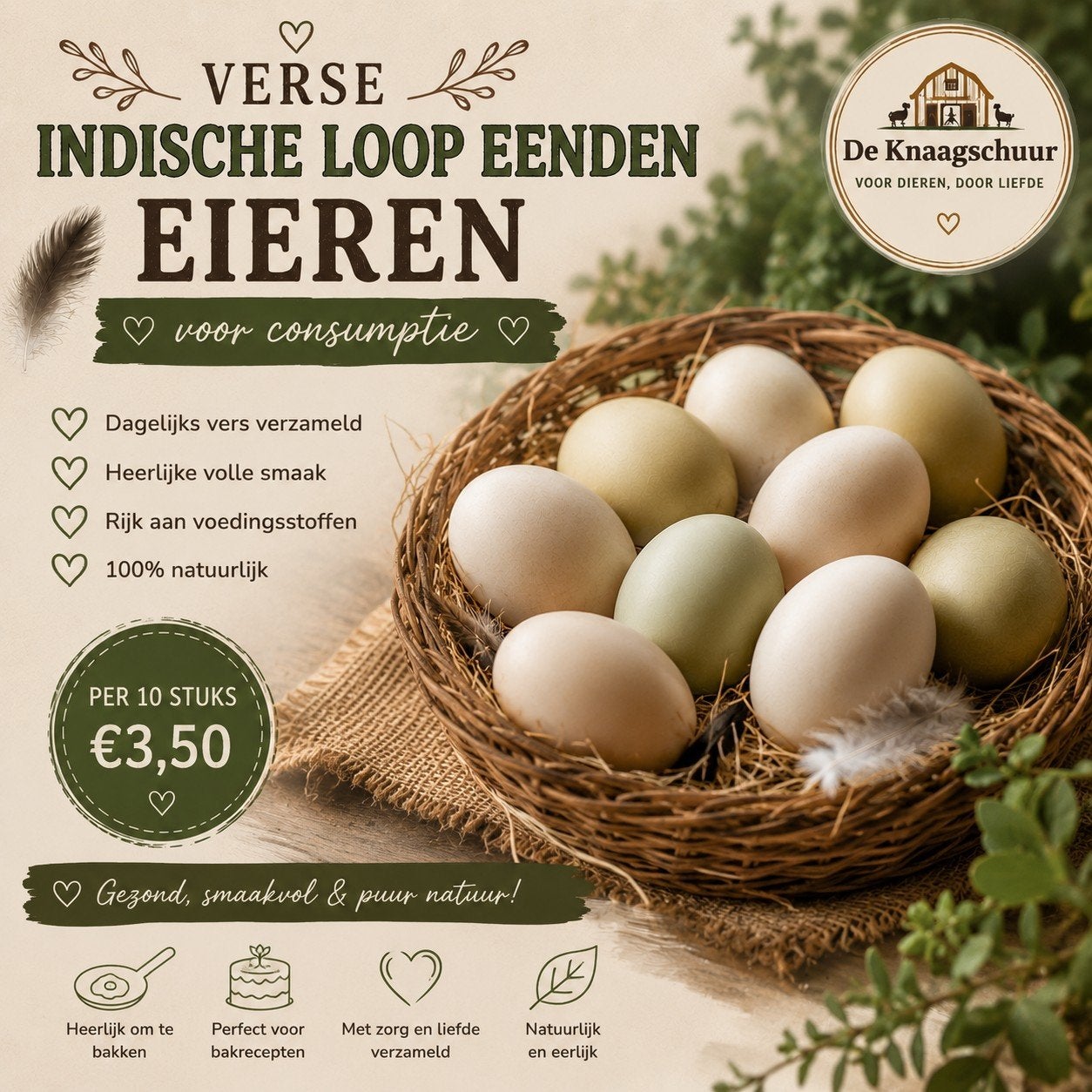 Eendeneieren te koop | Vers & lokaal, Ophalen