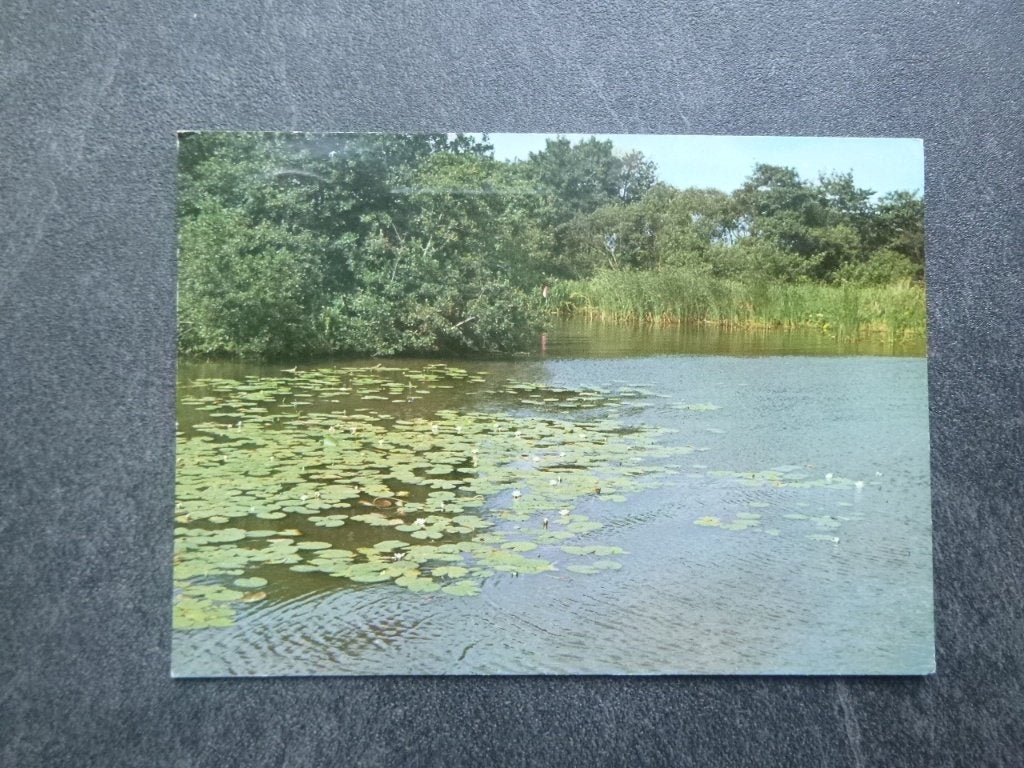 Eernewoude fr   1978, Verzenden, 1960 tot 1980, Gelopen, Friesland