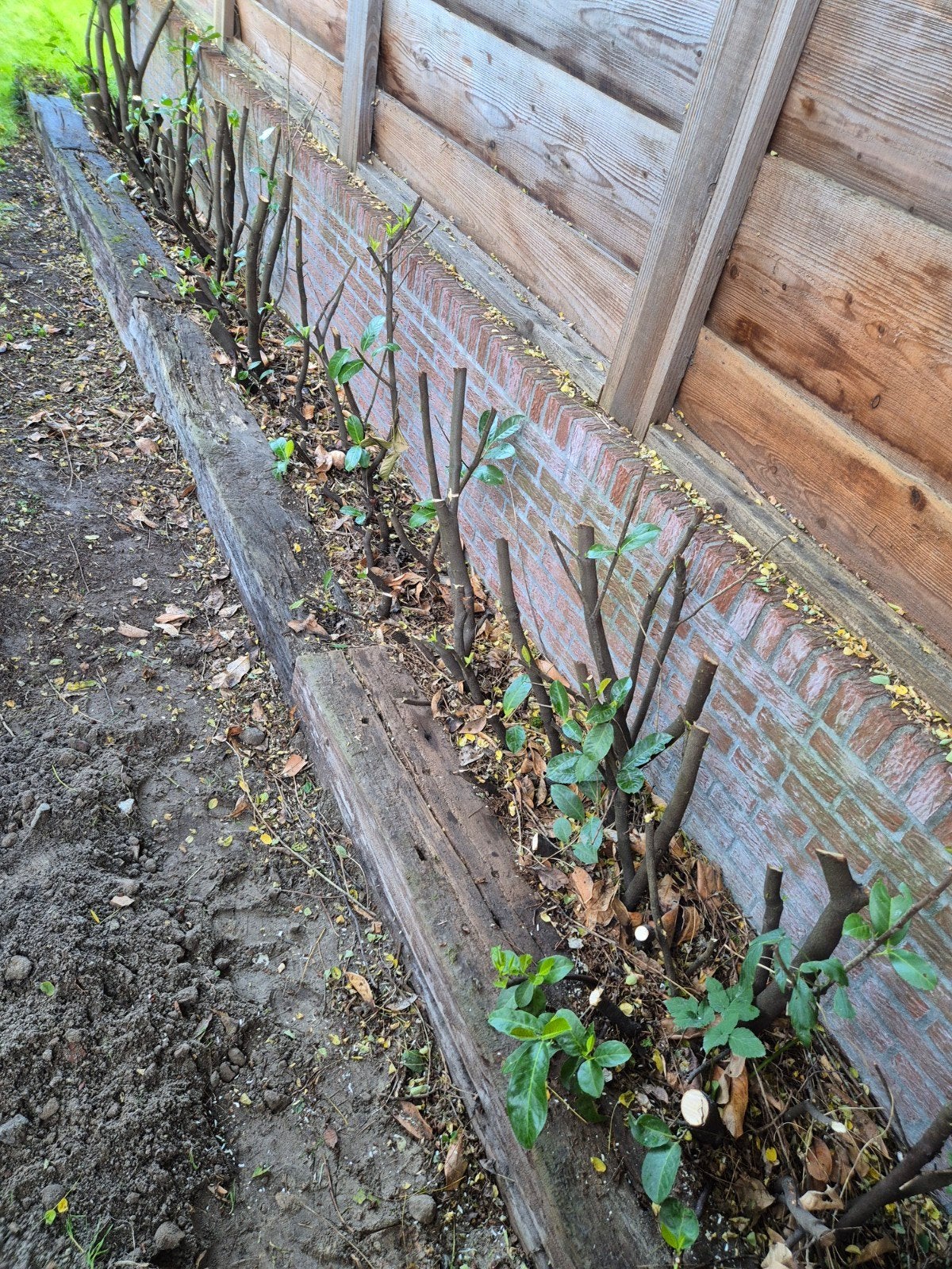 GRATIS AFHALEN spoorbielzen 8.40 m dubbele laag, Ophalen, Overige soorten, Minder dan 100 cm
