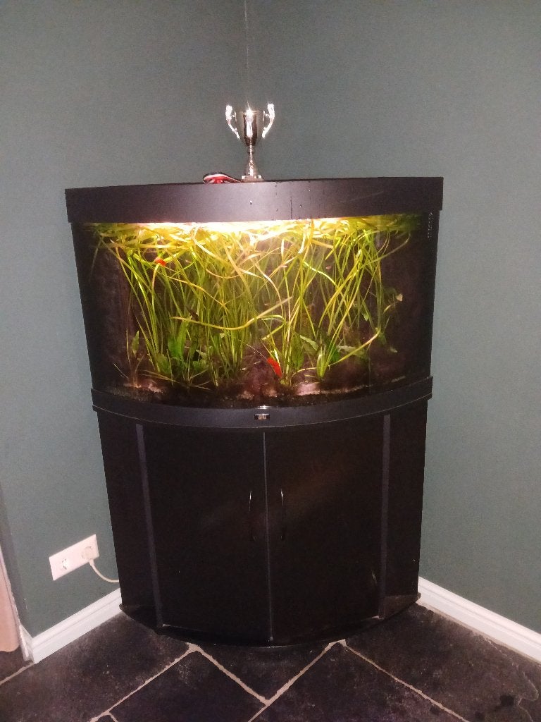 Juwel trigon 190+co2+Sera dimmer, Dieren en Toebehoren, Ophalen of Verzenden, Gebruikt, Leeg aquarium, Juwel