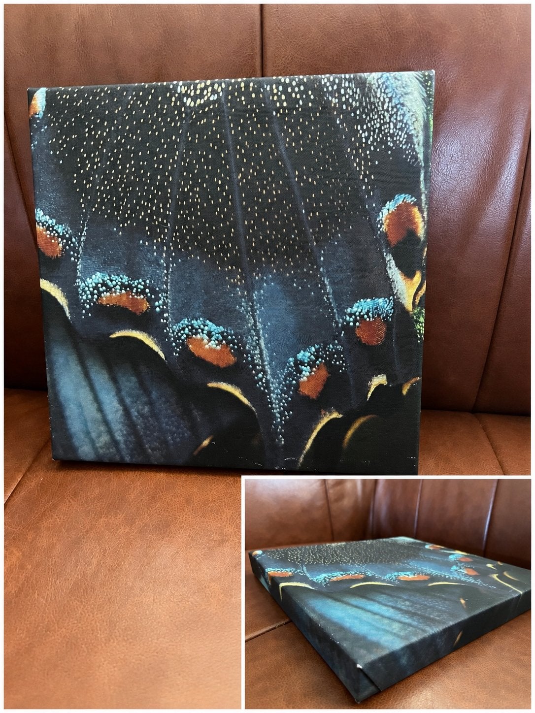 Canvas wanddecoratie vlinder/macro – 25 x 25 cm, Ophalen of Verzenden