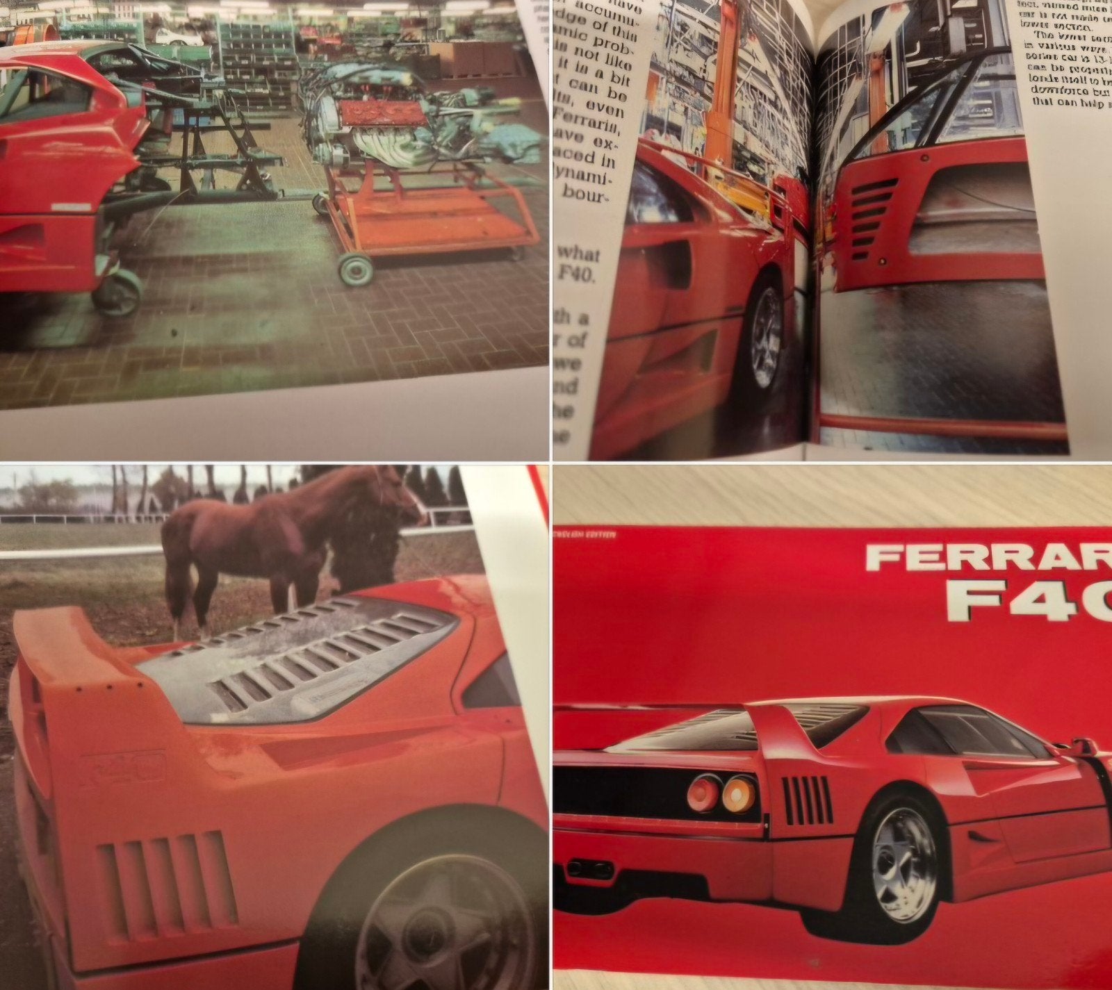 Als nieuw Ferrari F40 boek mooie foto's diverse technische, Boeken, Ophalen of Verzenden, Zo goed als nieuw, Ferrari