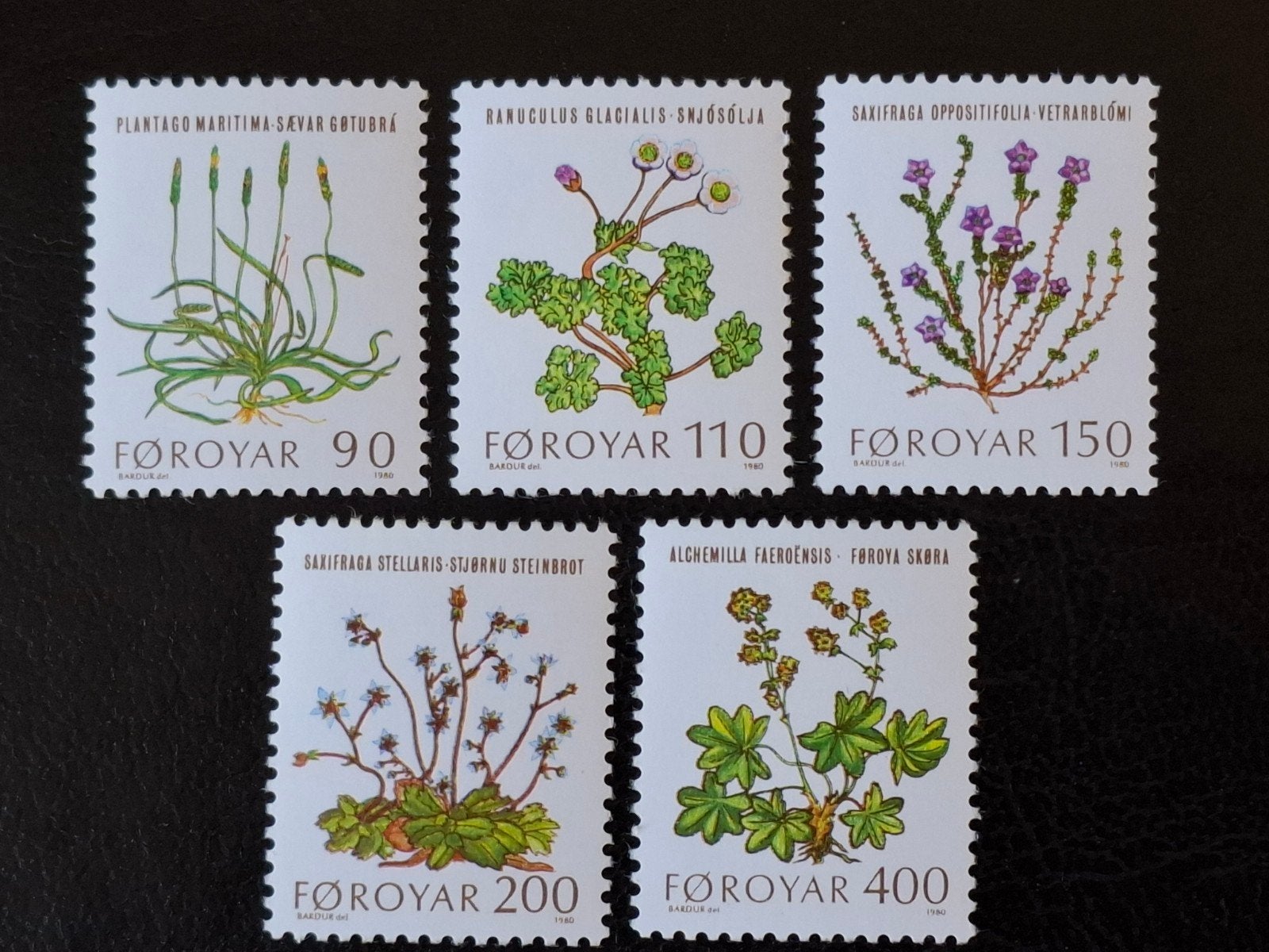 Faeröer 1980 Bloemen, Ophalen of Verzenden, Denemarken, Postfris