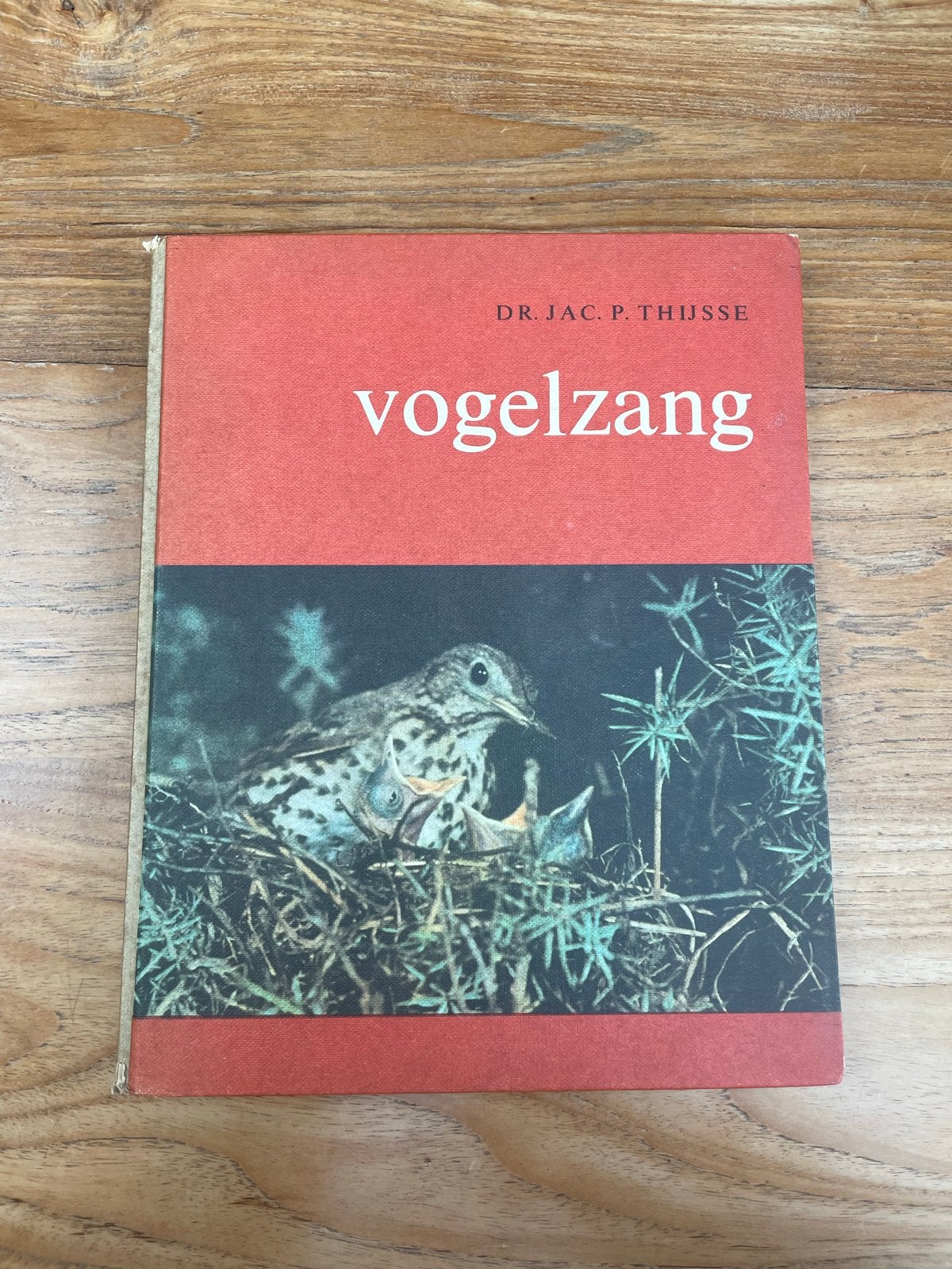 Vogelzang - Dr. Jac. P. Thijsse (Vogelboek), Ophalen of Verzenden, Gelezen, Vogels