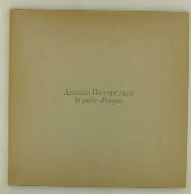 LP Angelo Branduardi – La Pulce D'Acqua , 26 395 XOT Vinyl, Cd's en Dvd's, Vinyl | Rock, LP, Ophalen of Verzenden, Zo goed als nieuw