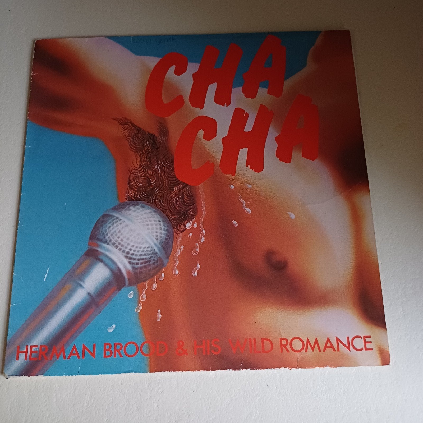 Herman Brood & His Wild Romance - Cha Cha (LP), Cd's en Dvd's, Ophalen of Verzenden, Gebruikt, 12 inch