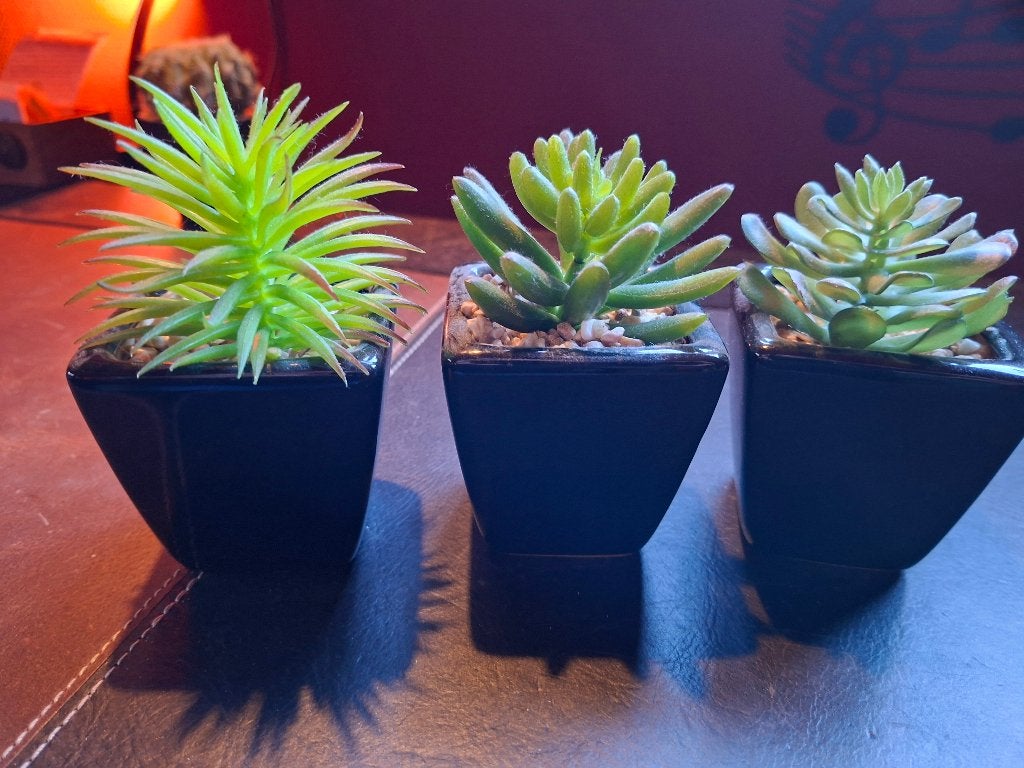 3 Kunst Vetplantjes, Groen, Kunstplant, Ophalen of Verzenden, Zo goed als nieuw