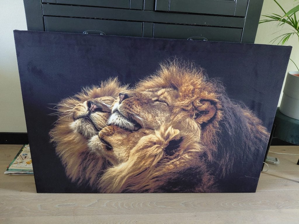 velours schilderij merk Pronto wonen, Ophalen, Dieren, Op houten frame, Overige technieken