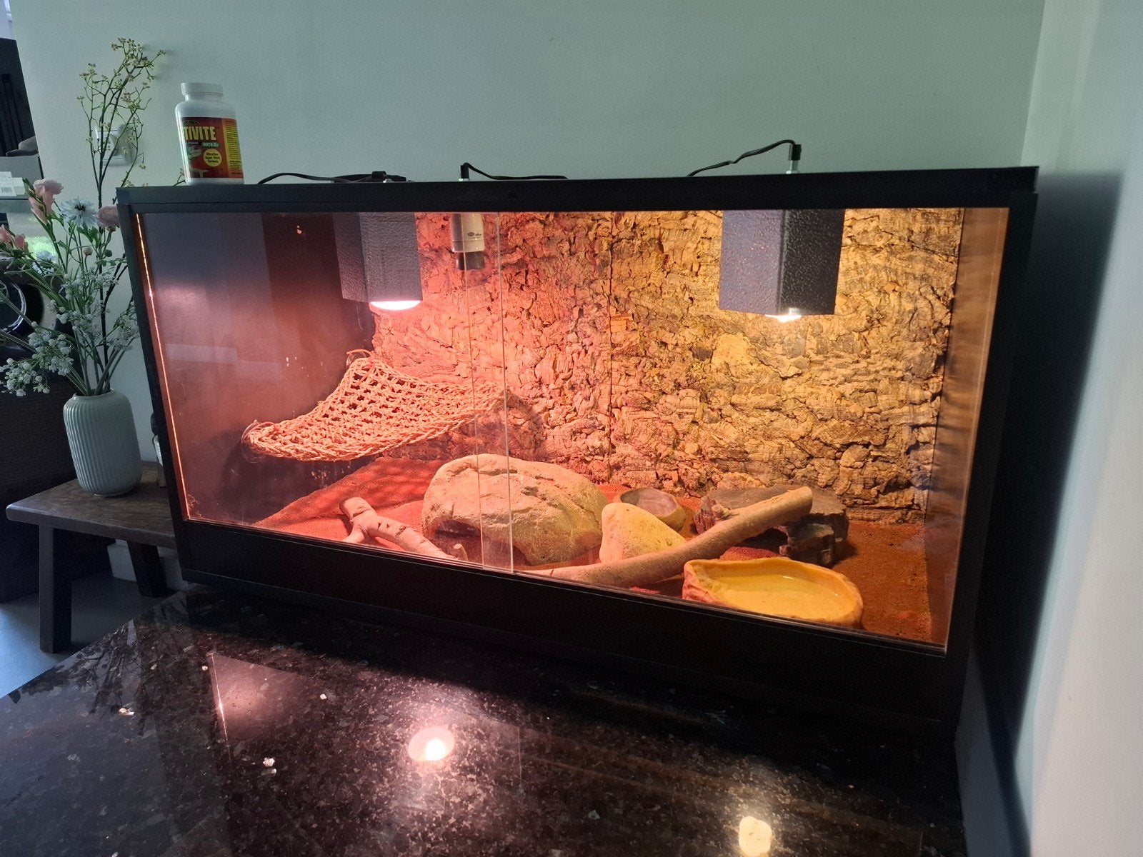 Volledig ingericht betonplex terrarium 100 x 50 x 54, Dieren en Toebehoren, Ophalen, Zo goed als nieuw, Terrarium of Paludarium