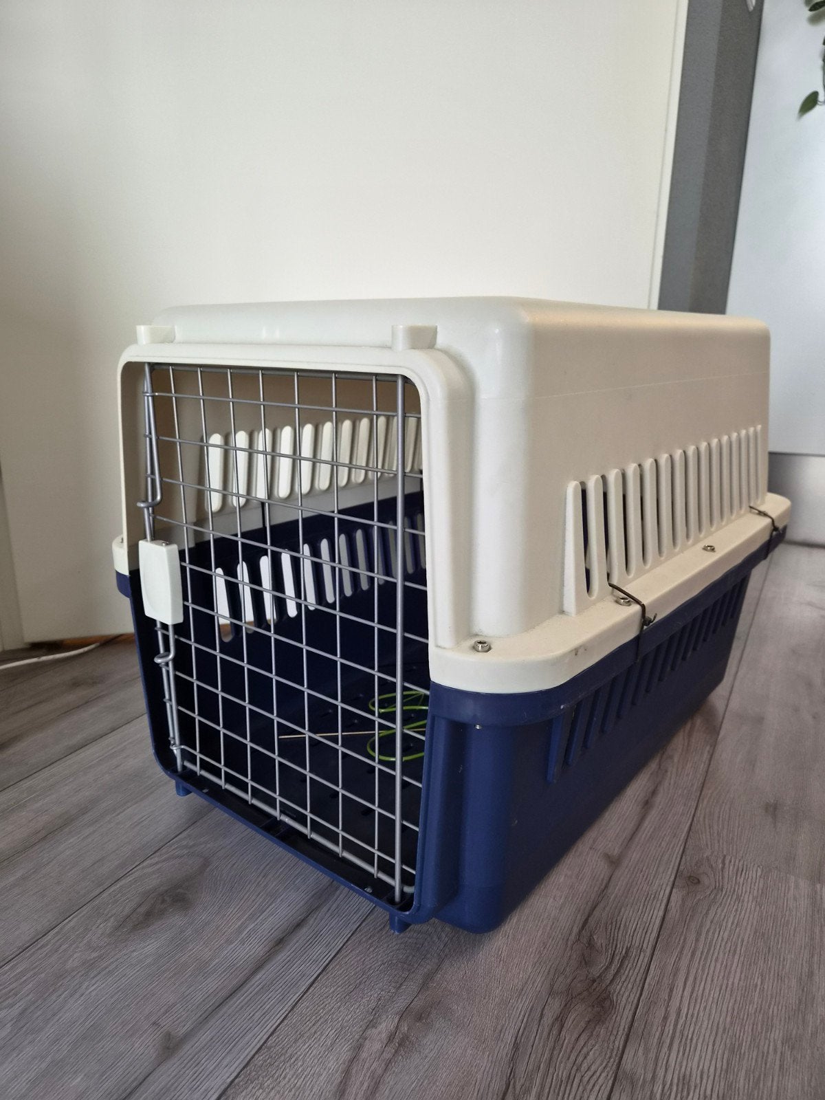 Stevige Transportbox Medium Hond (60x40x45 cm) – Slechts 1x, Ophalen, Zo goed als nieuw