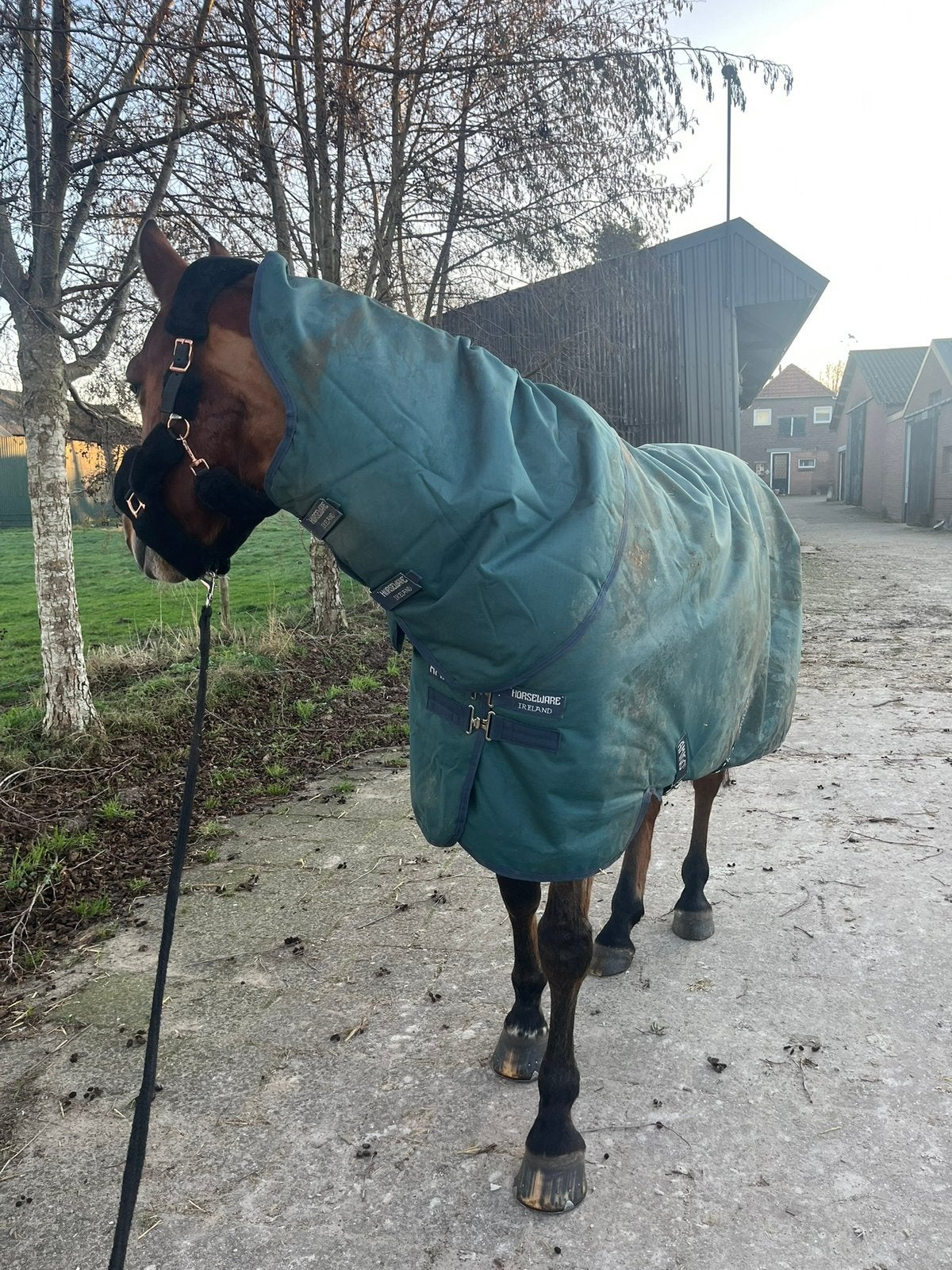 Amigo horseware winterdeken 200 gram, Gebruikt, Ripstop, 200 g, Ophalen of Verzenden